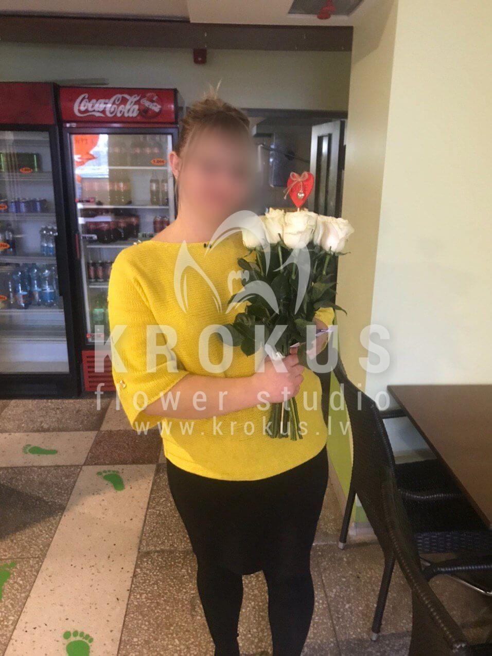 Deliver flowers to Rīga (white roses)