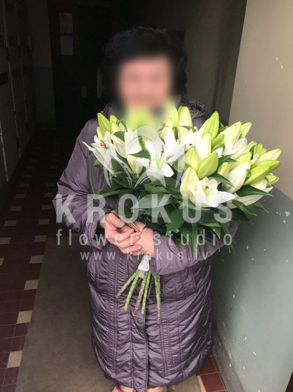 Deliver flowers to Rīga (lilies)