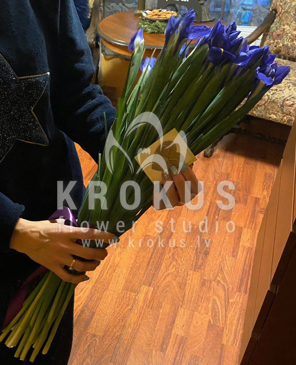 Доставка цветов в город Jūrmala (ирисы)