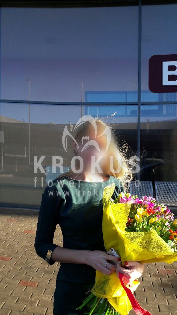 Доставка цветов в город Latvia (фрезииамбрелла)