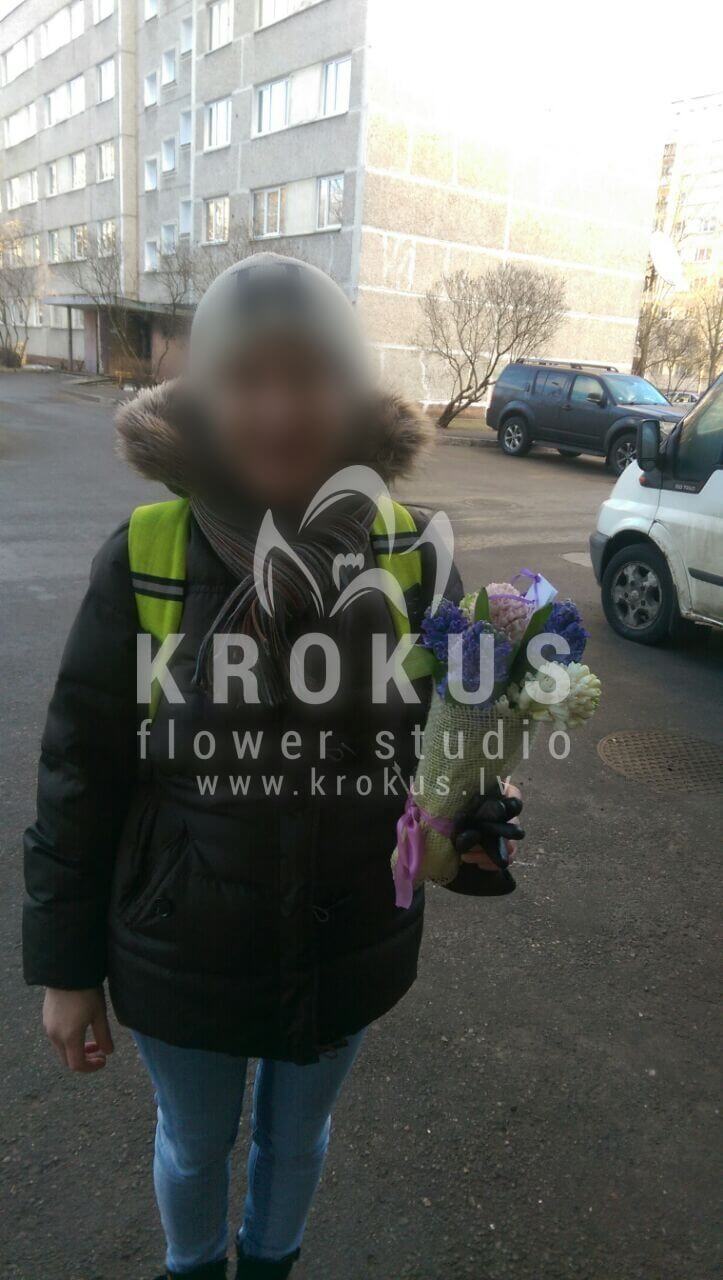 Доставка цветов в город Latvia (гиацинтфисташка)