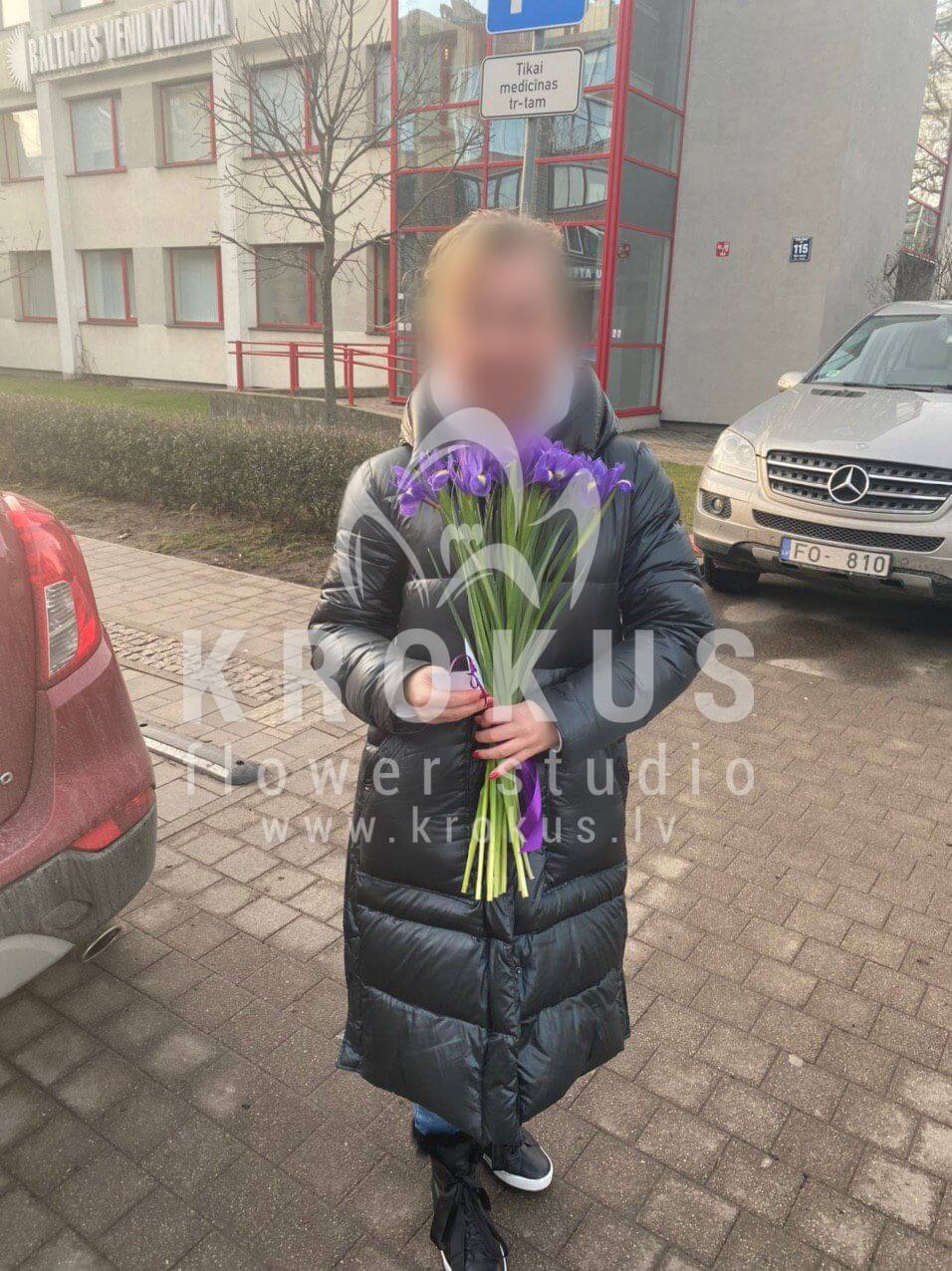 Deliver flowers to Rīga (irises)