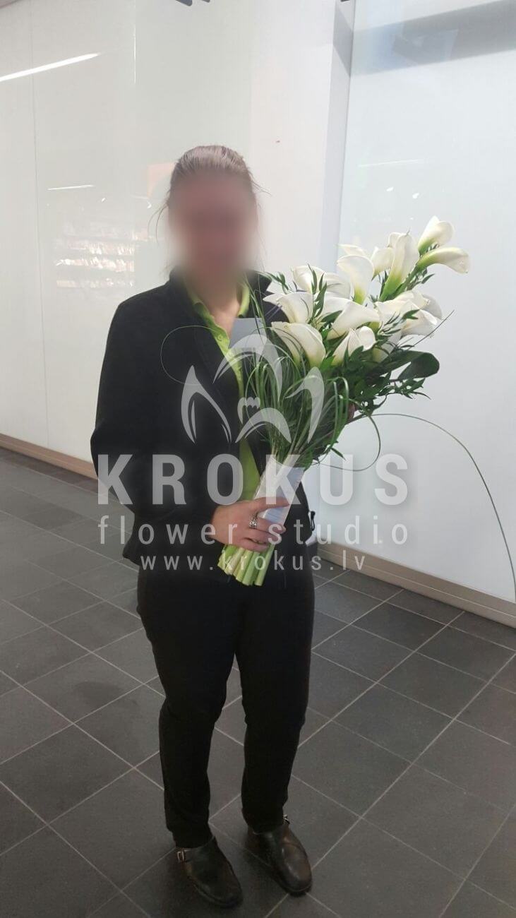 Deliver flowers to Latvia (calla liliesbeargrassruscusaspidistra)