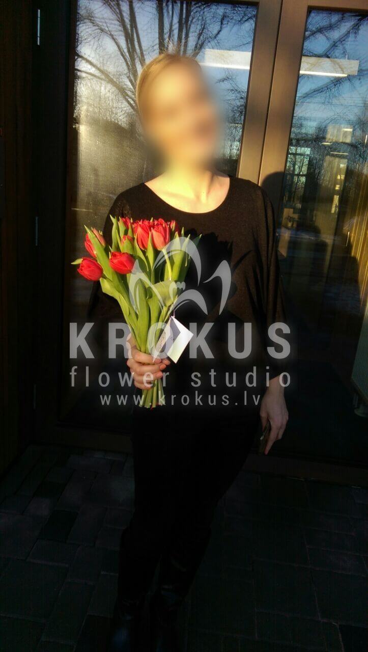 Deliver flowers to Latvia (tulips)