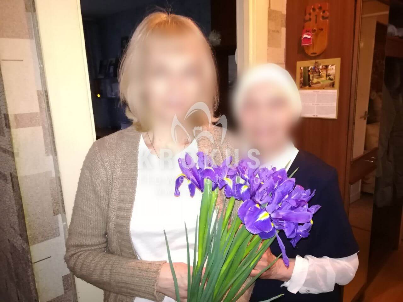 Deliver flowers to Rīga (irises)