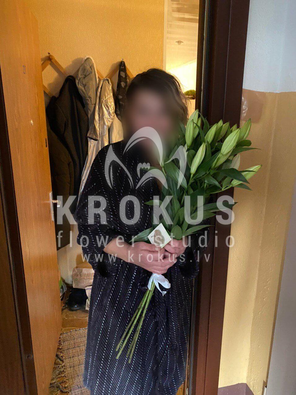 Deliver flowers to Rīga (lilies)