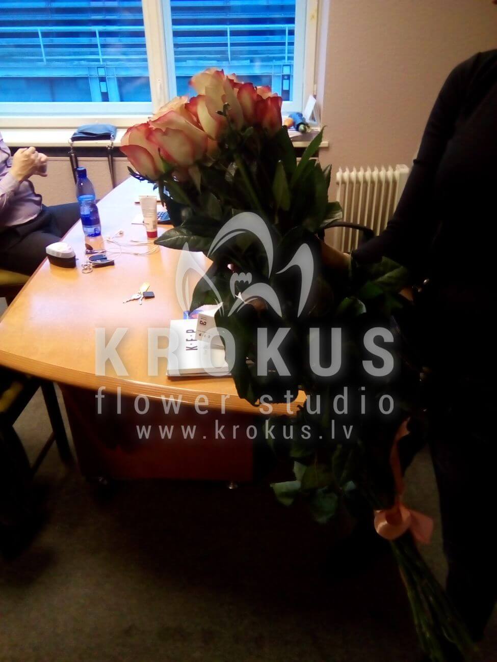 Deliver flowers to Latvia (bicolor roses)