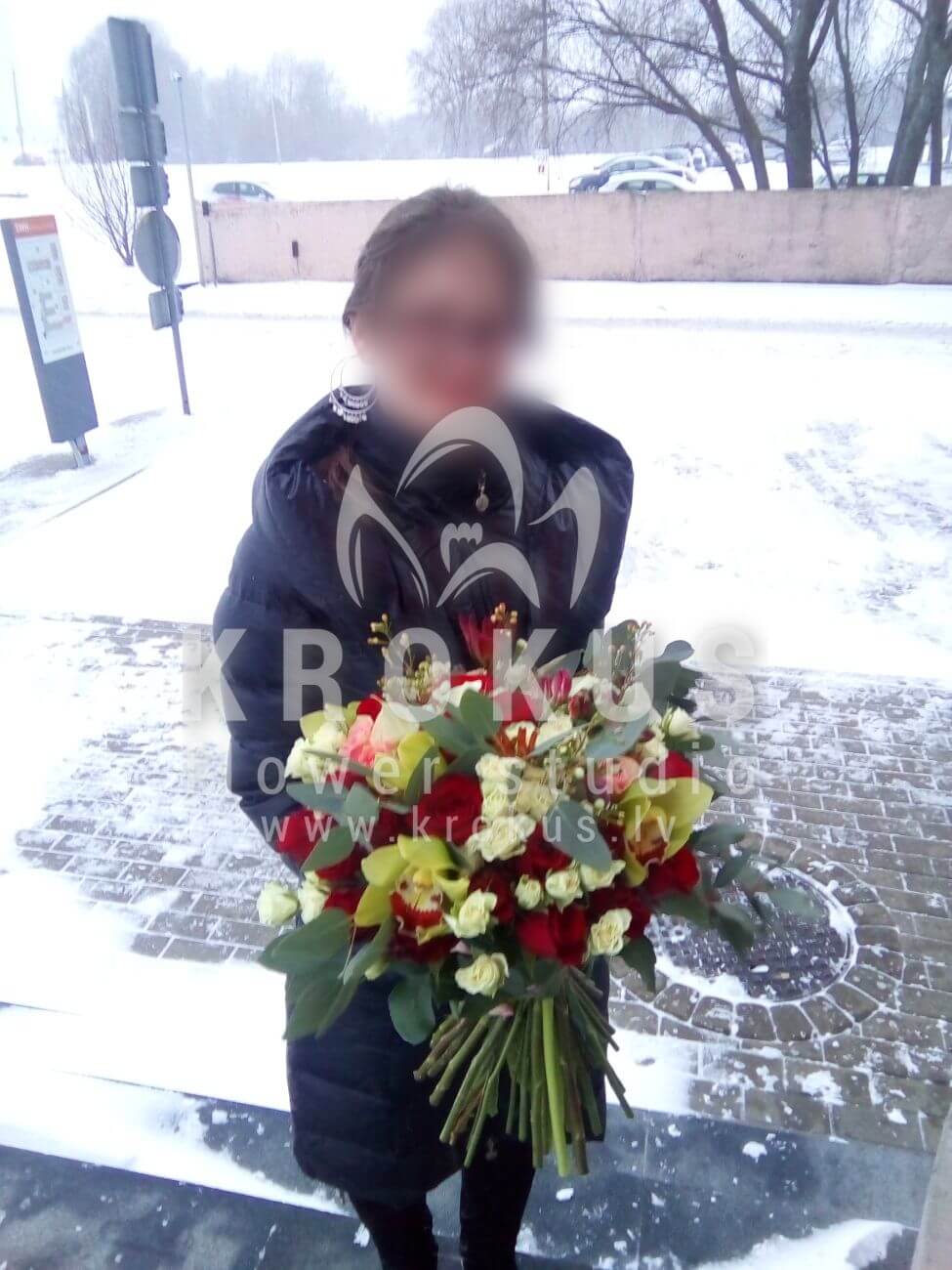 Ziedu piegāde Latvia Latvia (krūmrozesrozā rozesranunkuļiruskussorhidejaskazenesukulentipeonveidīgās rozesamarantspeonijasdeivida ostina rozes)