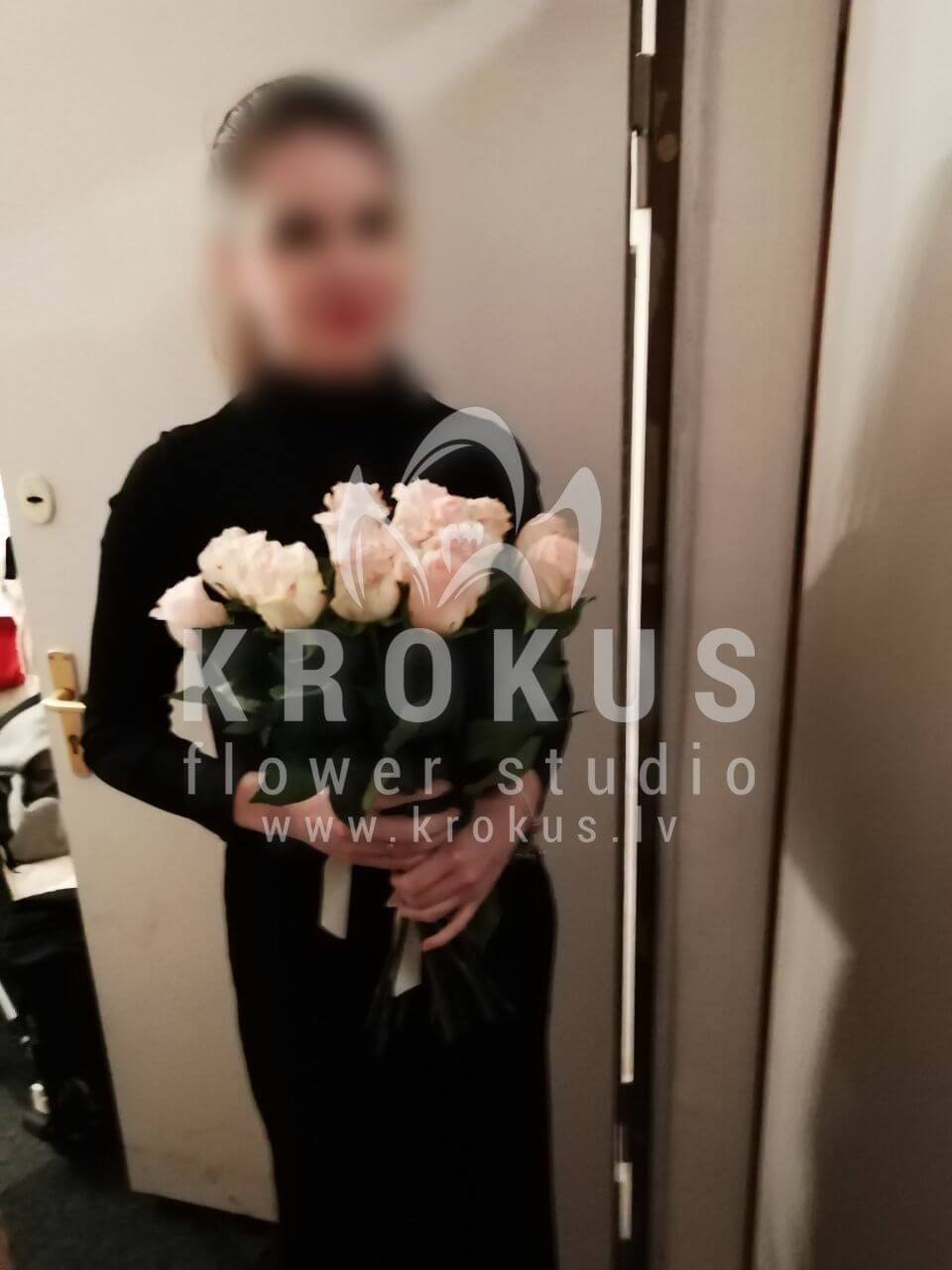 Deliver flowers to Rīga (white rosescream roses)