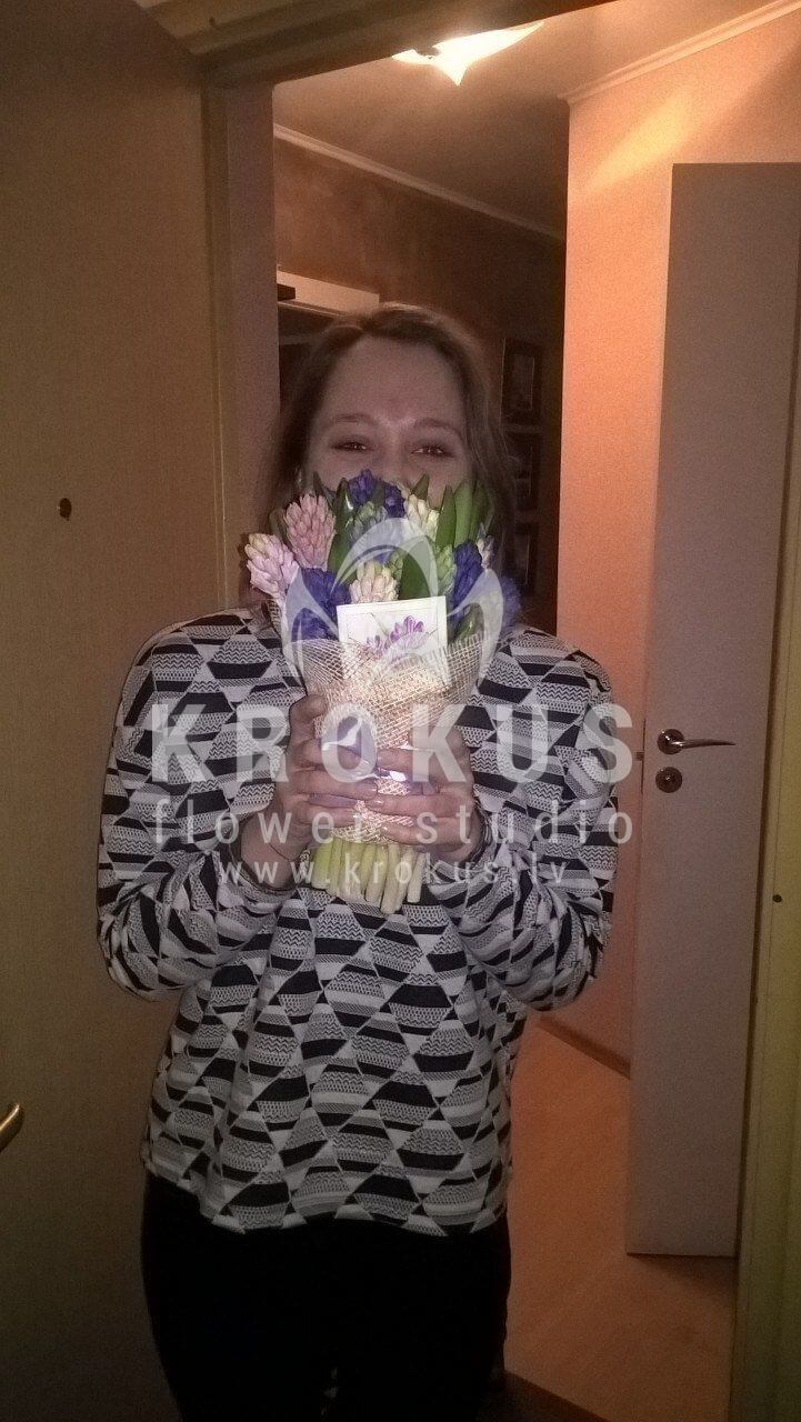 Deliver flowers to Latvia (hyacinth)