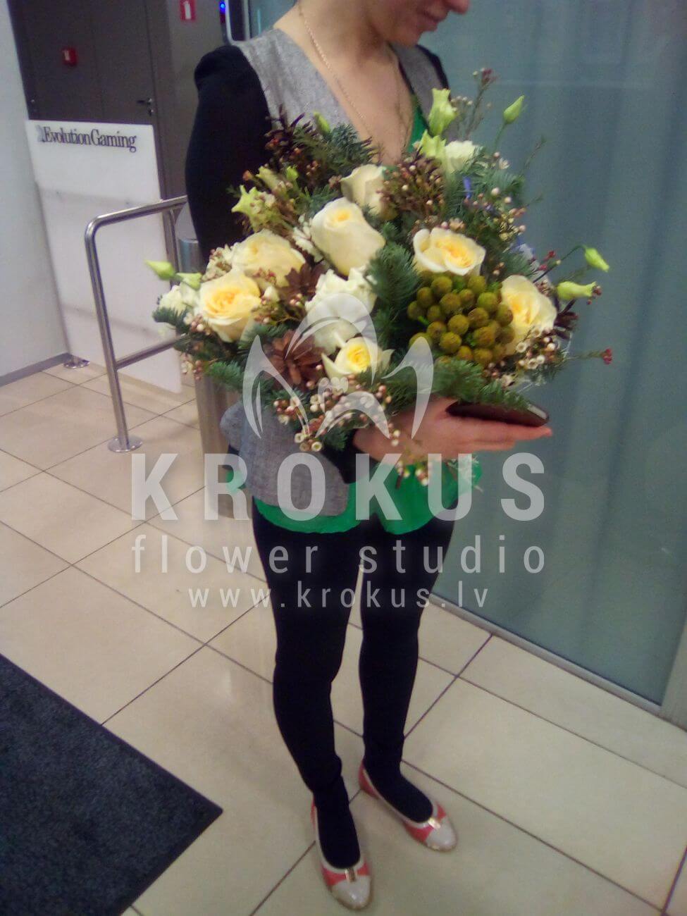 Deliver flowers to Latvia (bruniawaxflowercream rosesnoble firlisianthuses (eustoma))