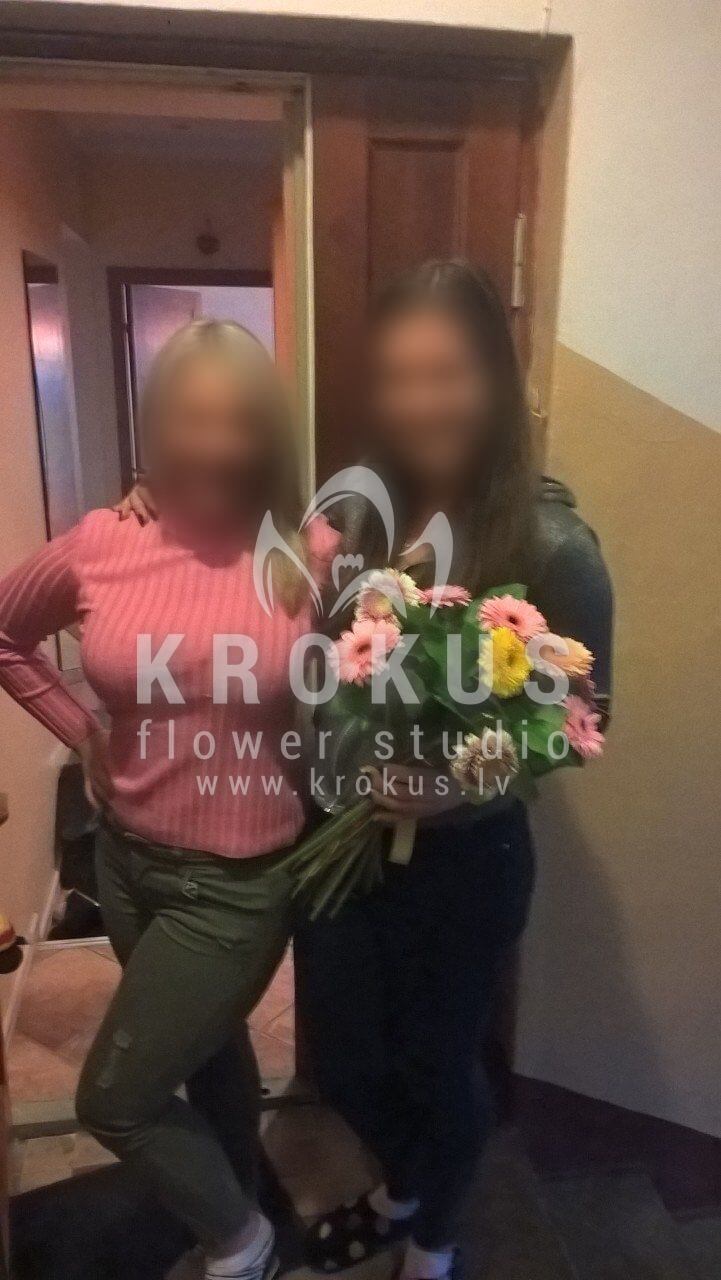 Deliver flowers to Latvia (salaldaisies)