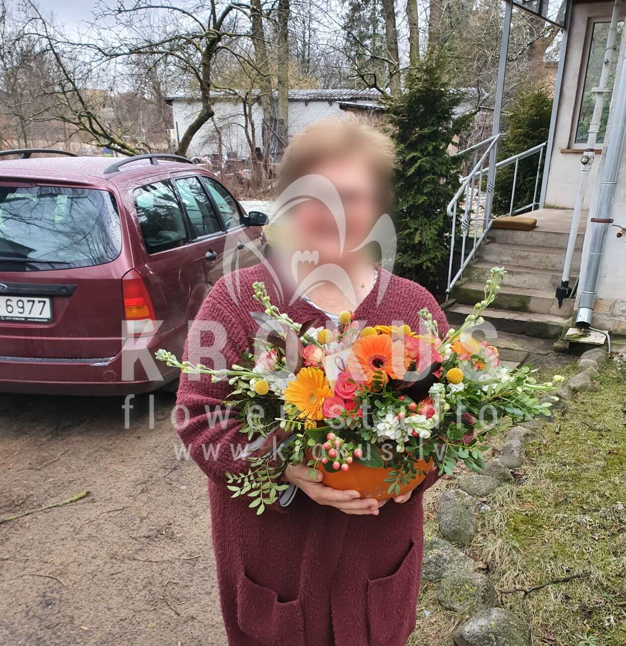 Deliver flowers to Rīga (shrub rosescraspediailexsunflowersruscuspumpkinsnapdragon)