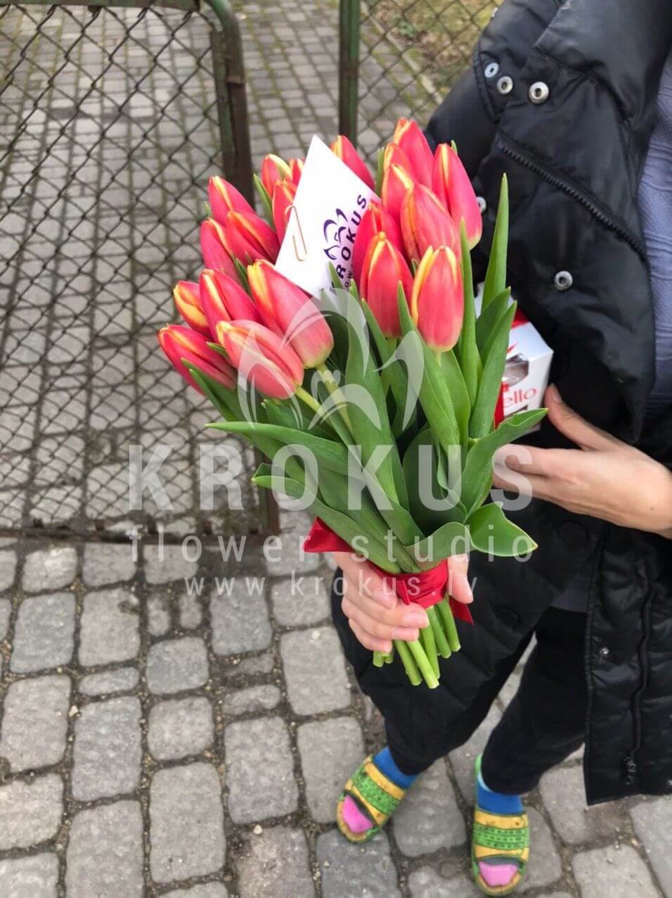 Deliver flowers to Baloži (tulips)