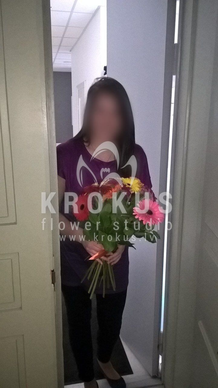 Deliver flowers to Latvia (salaldaisies)
