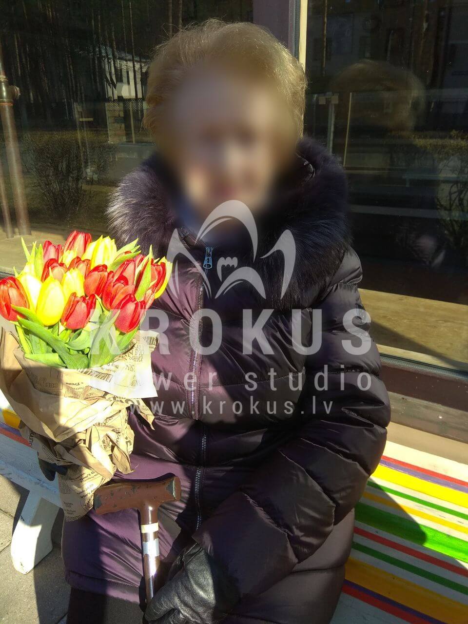 Ziedu piegāde Latvia Rīga (tulpes)