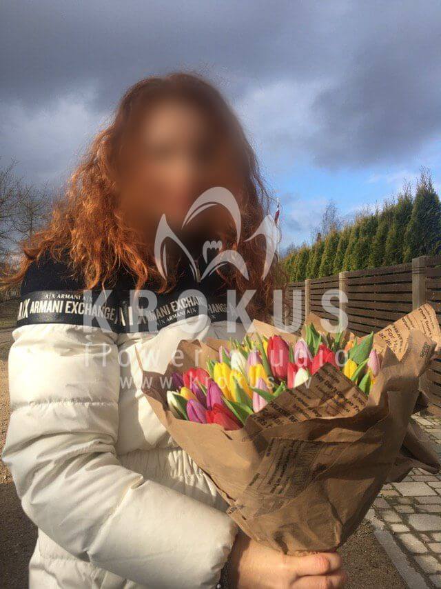 Deliver flowers to Rīga (tulips)