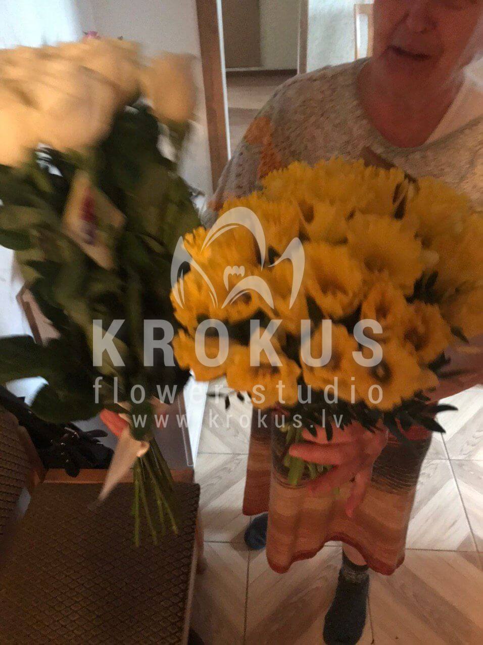 Deliver flowers to Rīga (daffodilwhite roses)