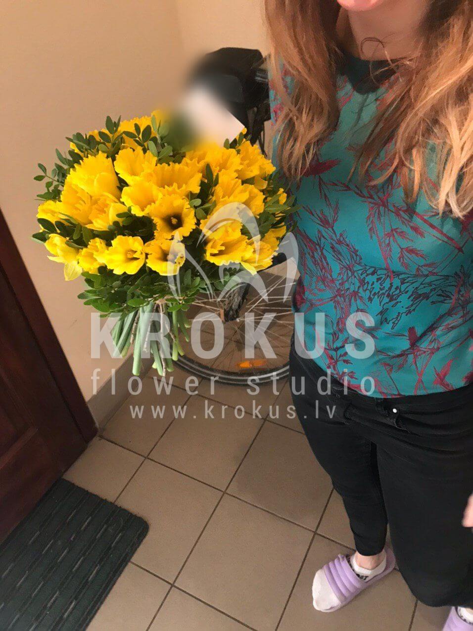 Доставка цветов в город Рига (нарцисс)
