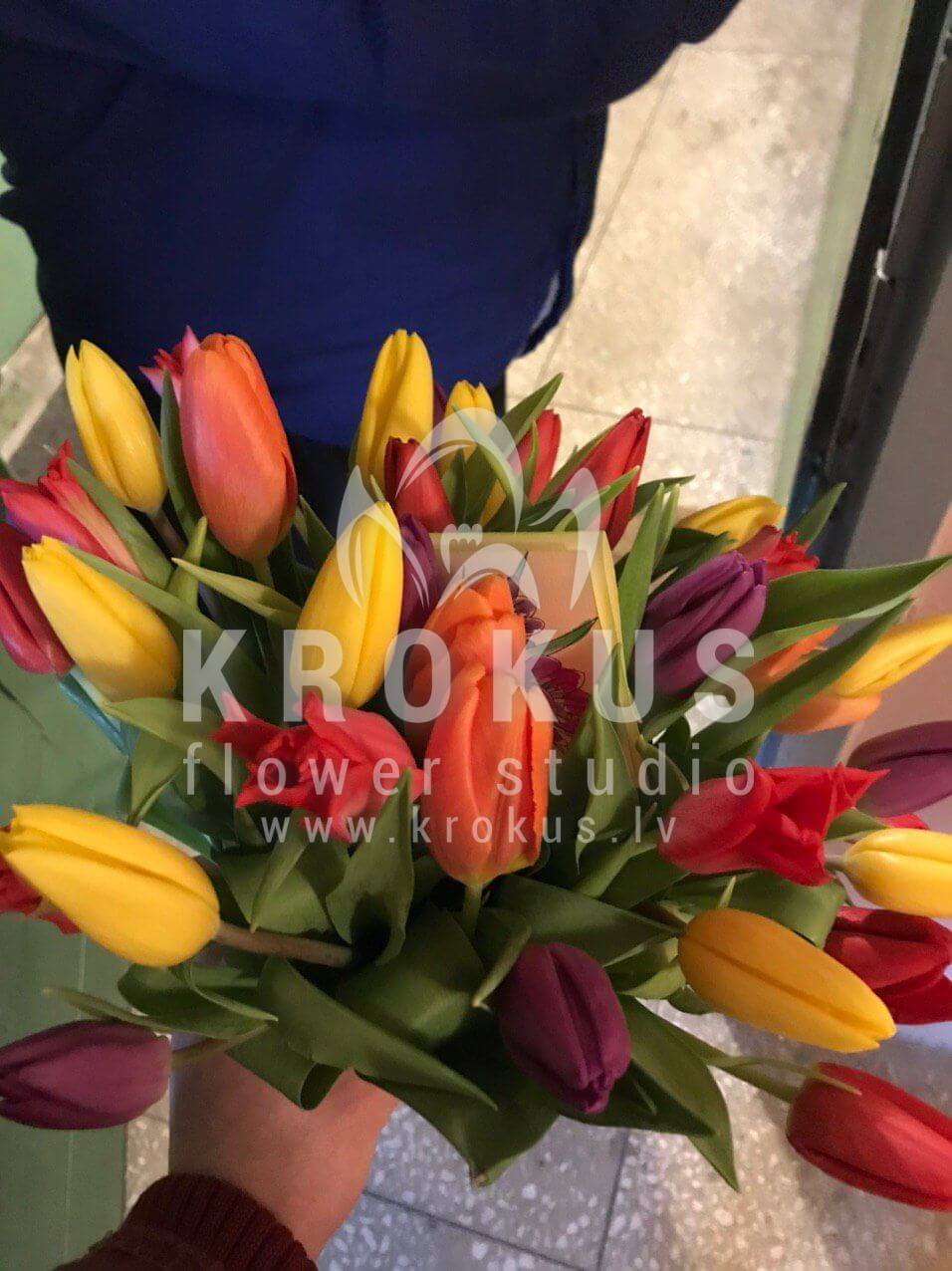 Deliver flowers to Rīga (tulips)