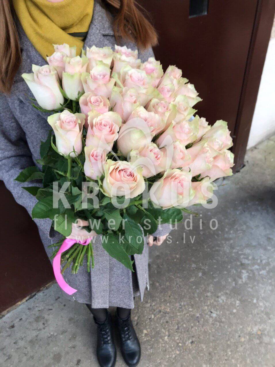 Deliver flowers to Rīga (yellow roses)