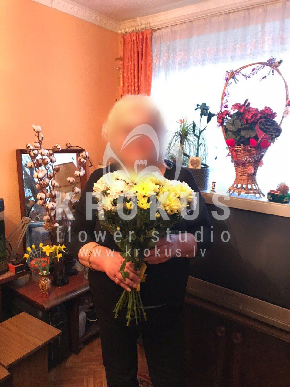 Доставка цветов в город Рига (хризантемы)