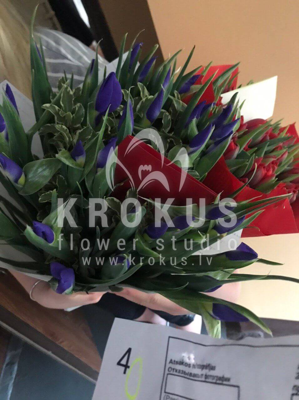 Deliver flowers to Rīga (tulipsirisesgree bell)
