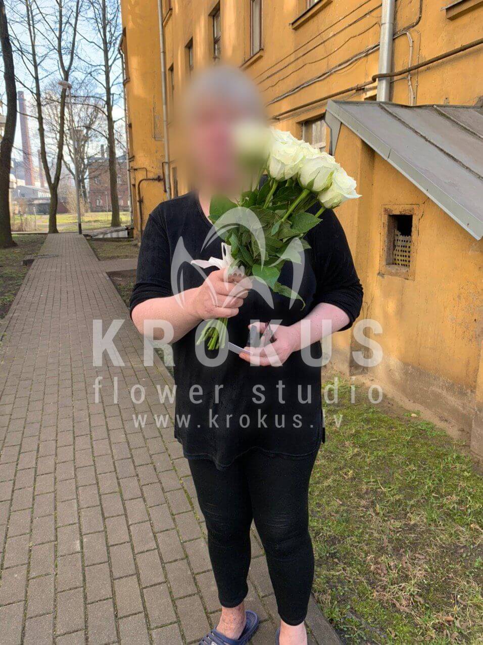 Ziedu piegāde Latvia Rīga (baltas rozes)