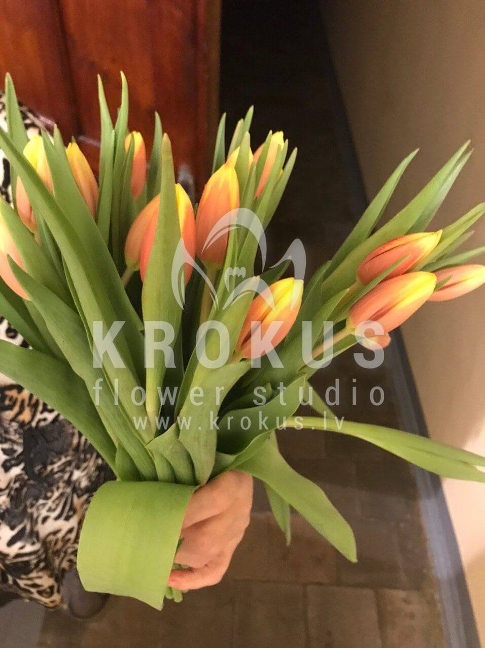 Доставка цветов в город Daugavpils (тюльпаны)
