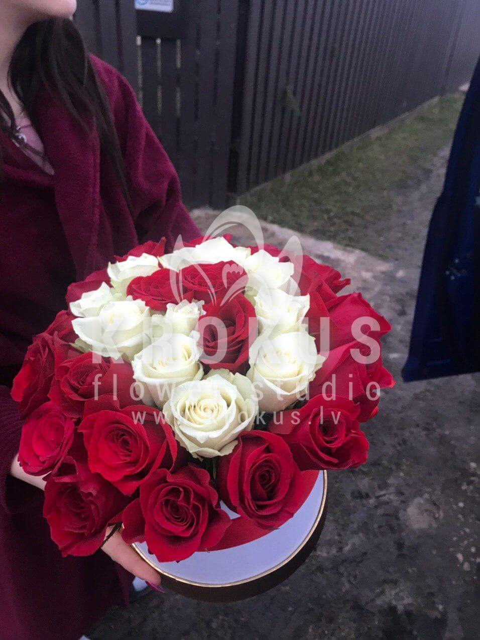 Доставка цветов в город Jēkabpils (стильная коробкабелые розыкрасные розы)