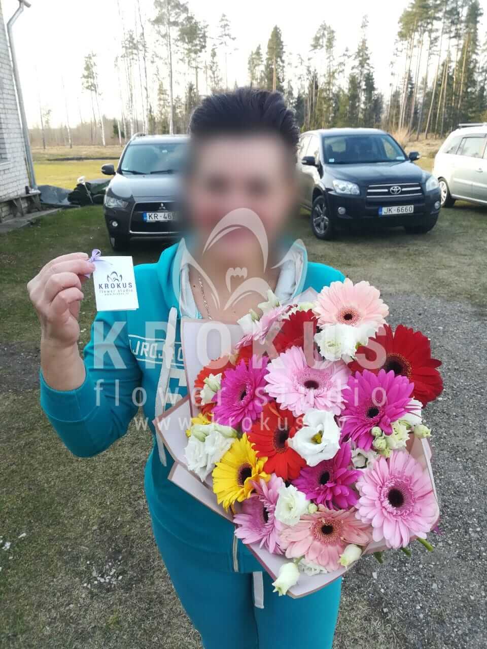 Deliver flowers to Latvia (germini)