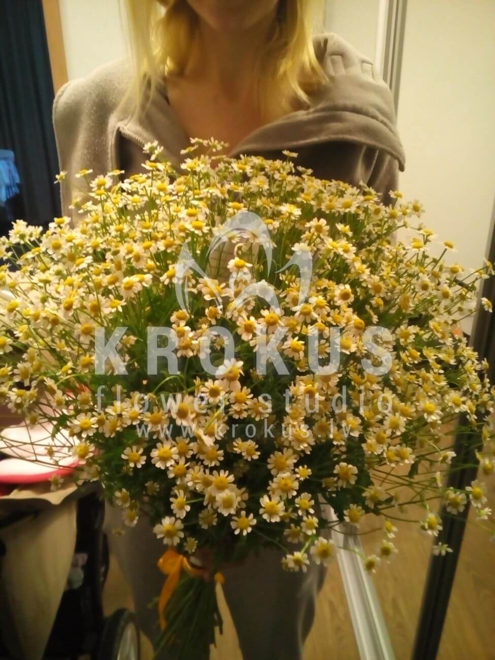 Deliver flowers to Latvia (meadow flowerscamomiles)