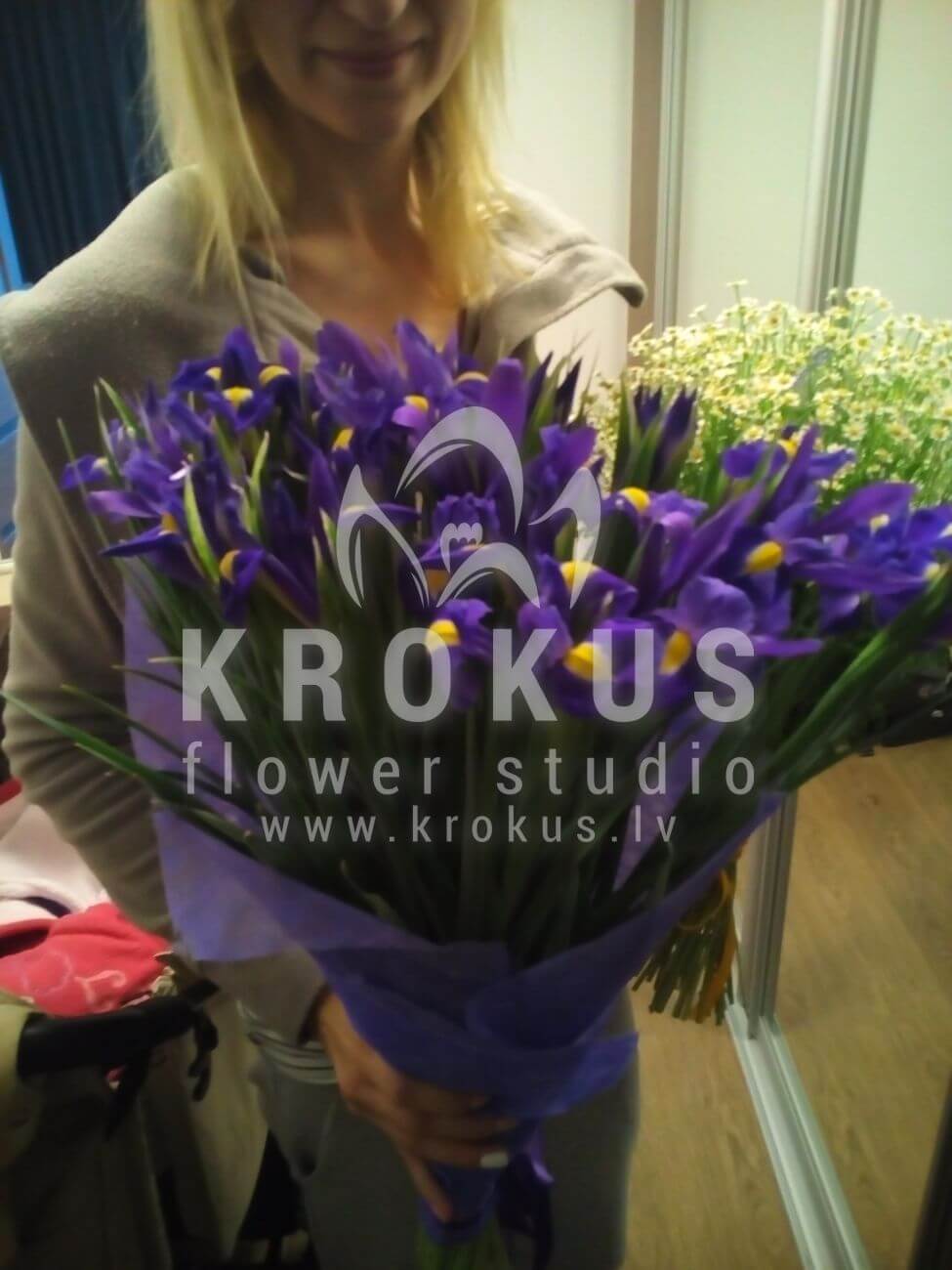 Доставка цветов в город Latvia (ирисы)