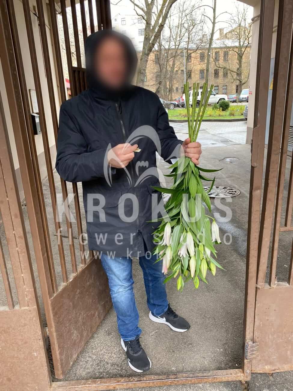 Deliver flowers to Rīga (lilies)