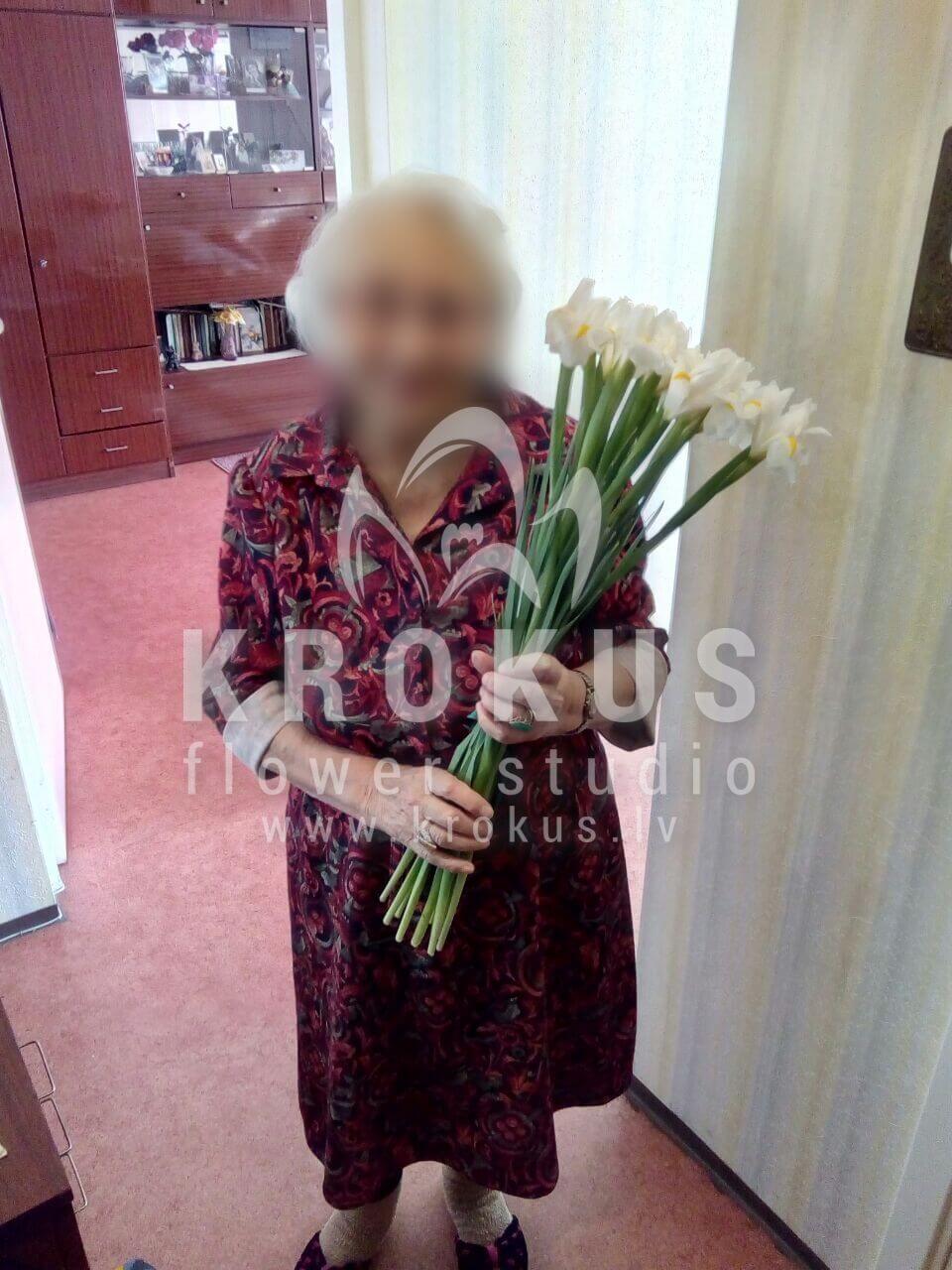 Deliver flowers to Latvia (irises)