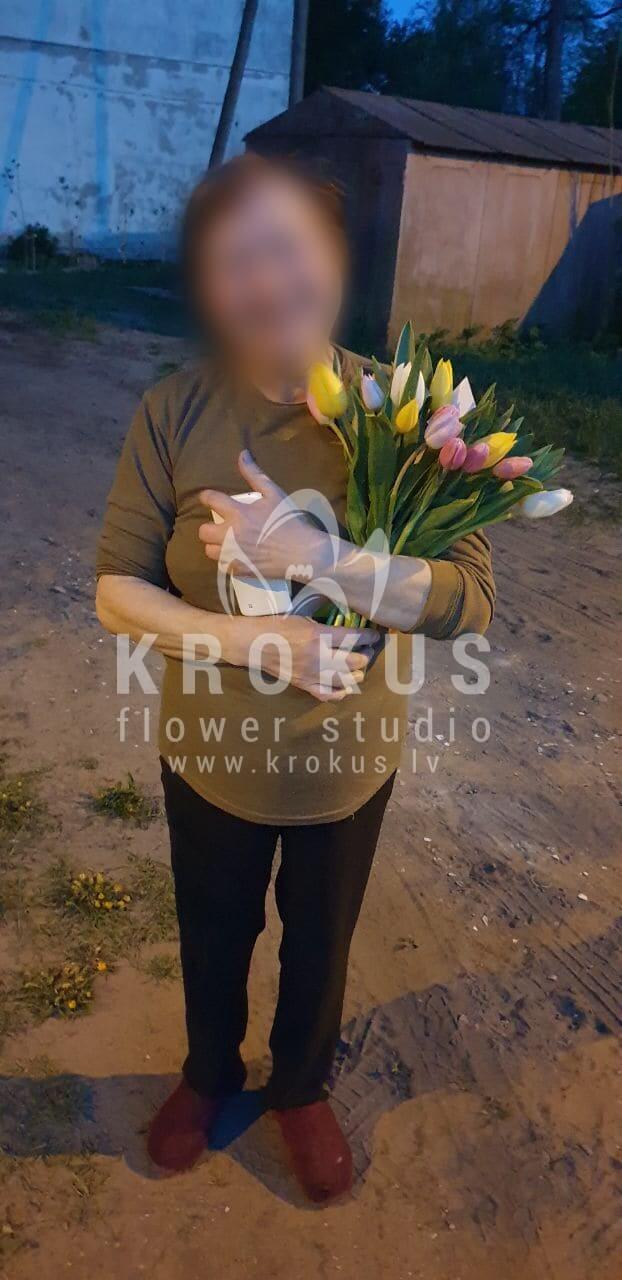 Deliver flowers to Rīga (tulips)