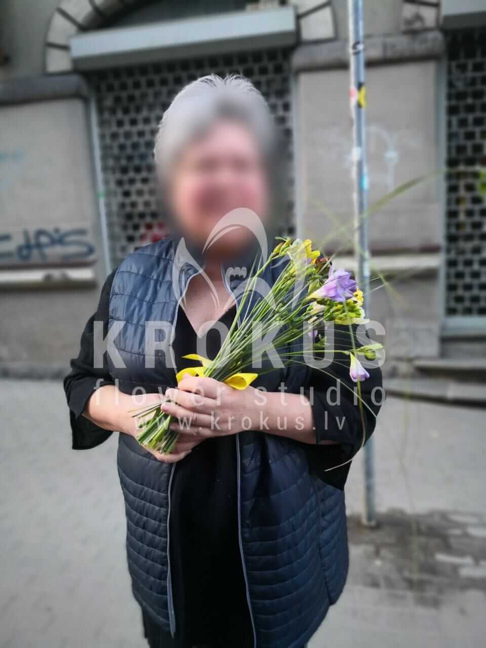 Deliver flowers to Rīga (freesia)