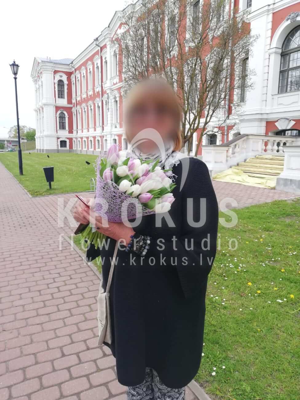 Ziedu piegāde Latvia Jelgava (tulpes)