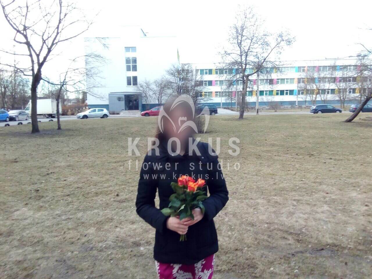 Ziedu piegāde Latvia Latvia (krūmrozesrozā rozesneļķeskrēmkrāsas rozeseikaliptswaxflowerlizantes)