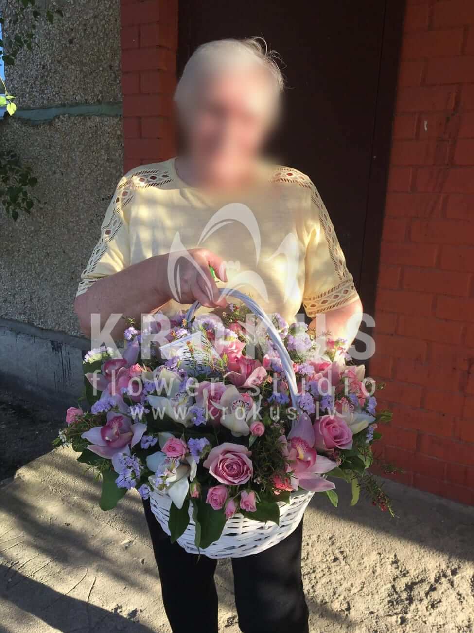 Ziedu piegāde Latvia Preiļi (krūmrozesrozā rozesorhidejaswaxflowersalal (goltjēra)statice)