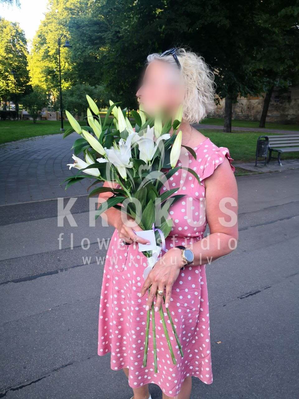 Ziedu piegāde Latvia Rīga (lilijas)