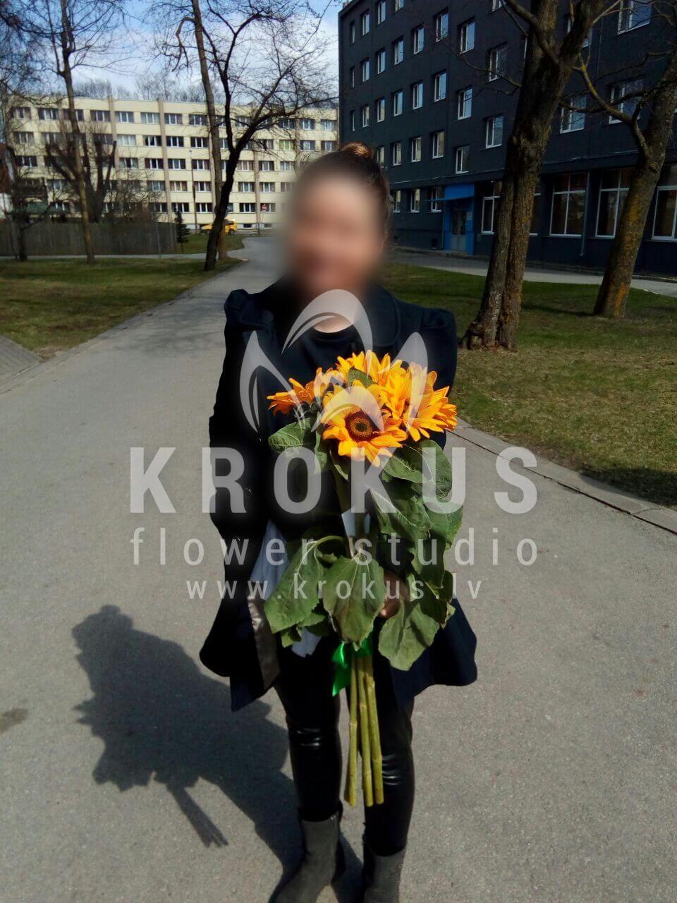 Deliver flowers to Latvia (sunflowers)