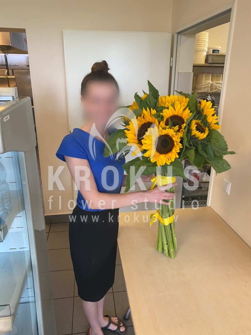 Deliver flowers to Rīga (sunflowers)