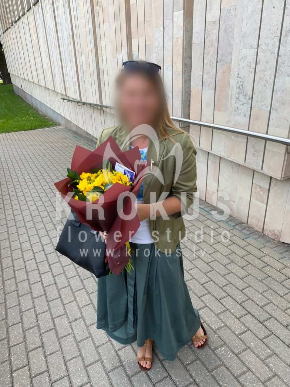 Deliver flowers to Rīga (freesia)