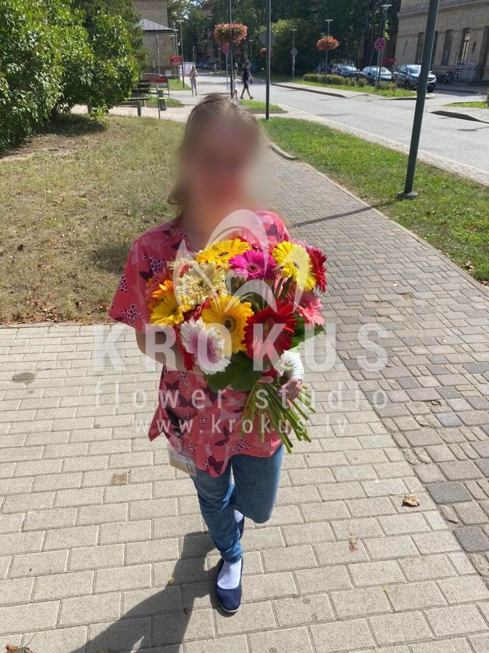 Deliver flowers to Rīga (germini)