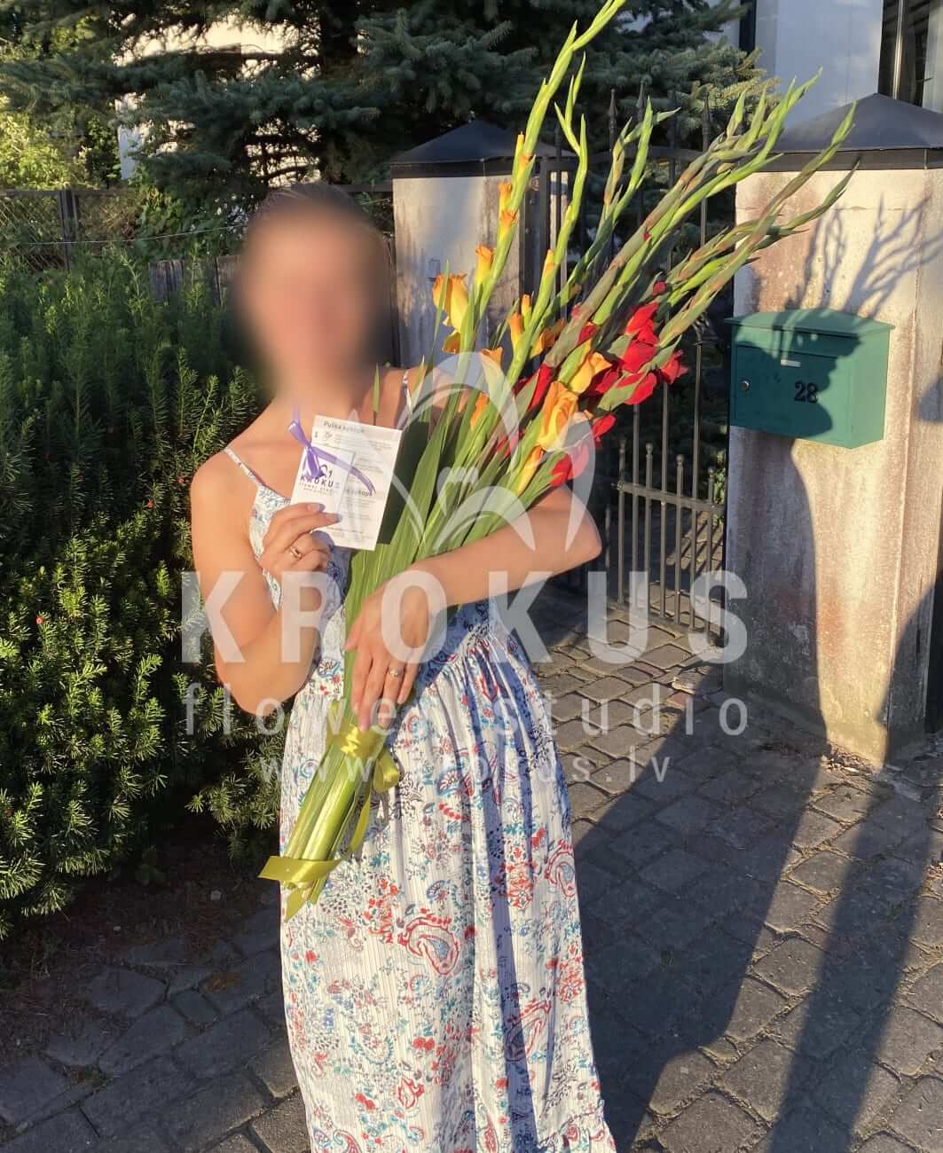 Deliver flowers to Rīga (gladioli)