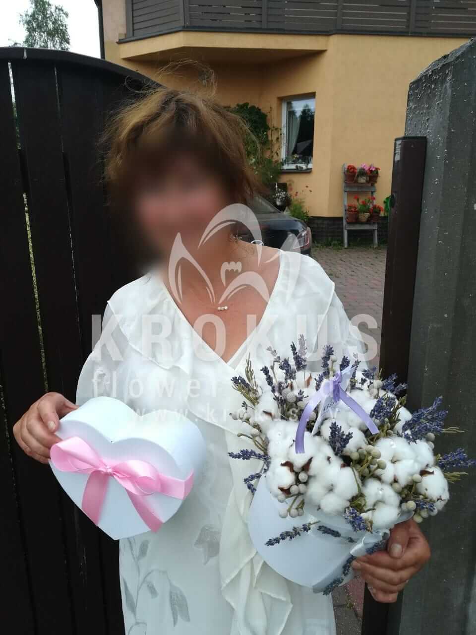 Deliver flowers to Latvia (boxbruniacottonlavender)