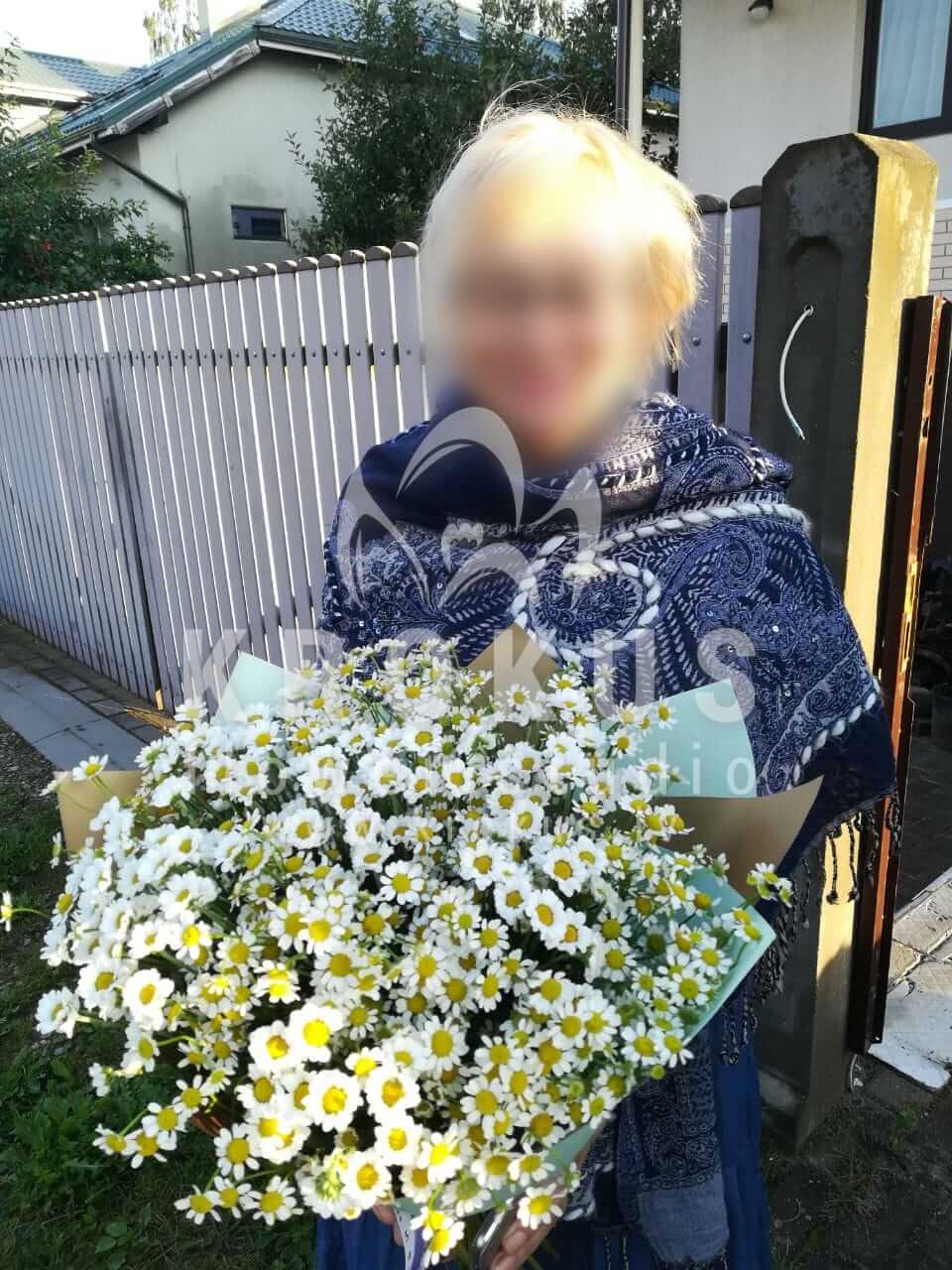 Deliver flowers to Lapenieki (chrysanthemumscamomiles)