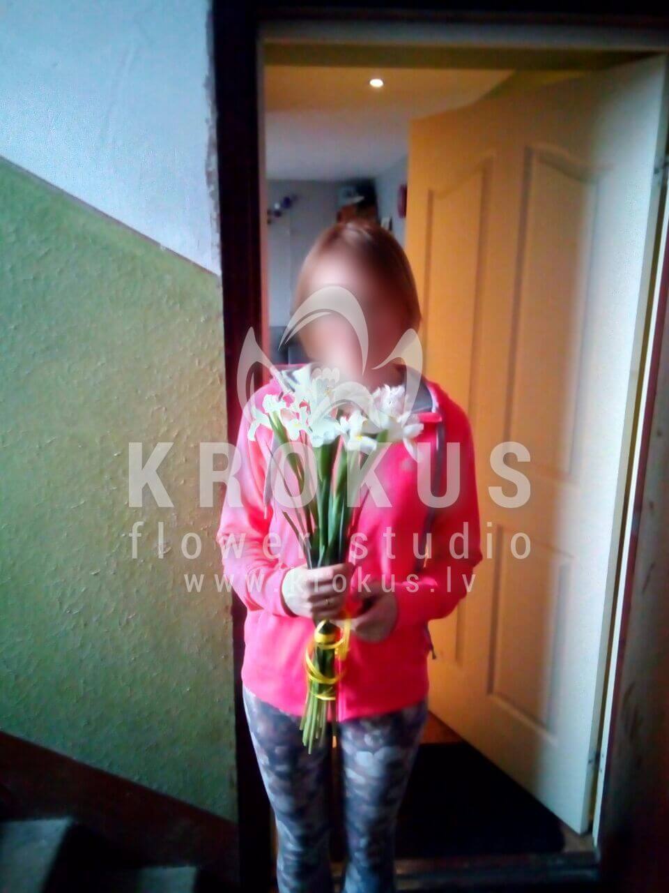 Deliver flowers to Latvia (irises)