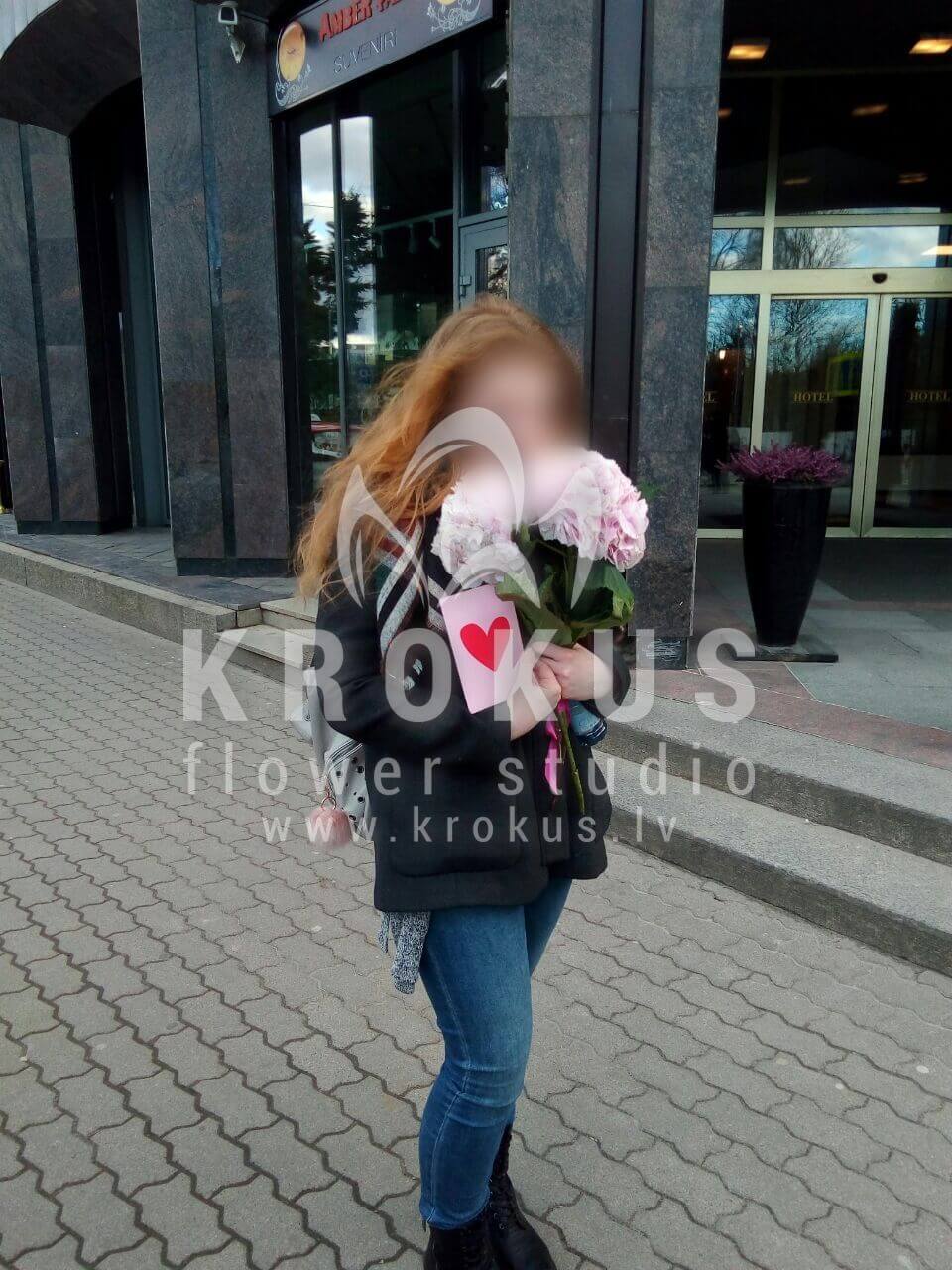 Deliver flowers to Latvia (shrub rosespink rosescloveswaxflowercream rosesgum treelisianthuses (eustoma))